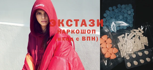 индика Магас