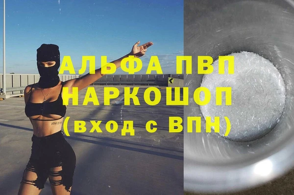 индика Магас