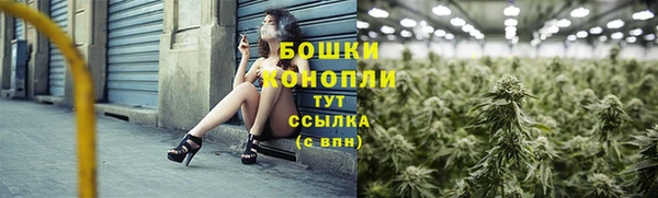 индика Магас