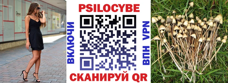 кракен зеркало  Черноголовка  Галлюциногенные грибы Psilocybine cubensis 